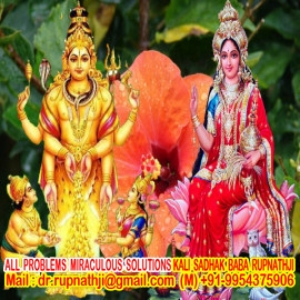 astrologer pandit ji