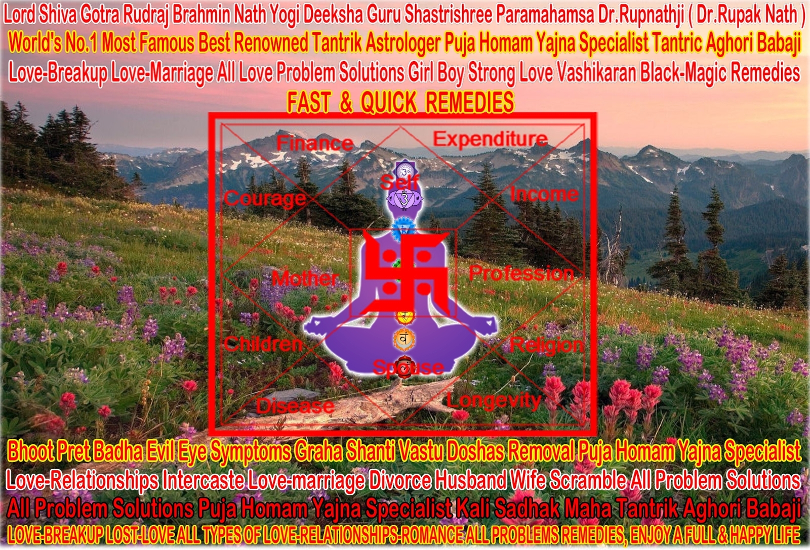 indian vedic astrology