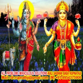 bagalamukhi astrologer tantric remedies