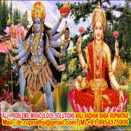 best astrologer in india