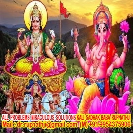 bring your love back