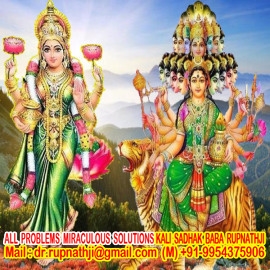 koushika agasthiya nadi astrologer