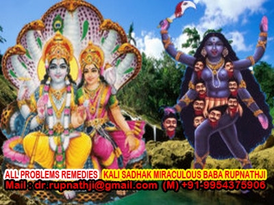 love vashikaran astrologer