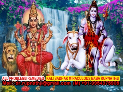 online gold medalist astrologer