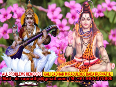 vashikaran love astrologer